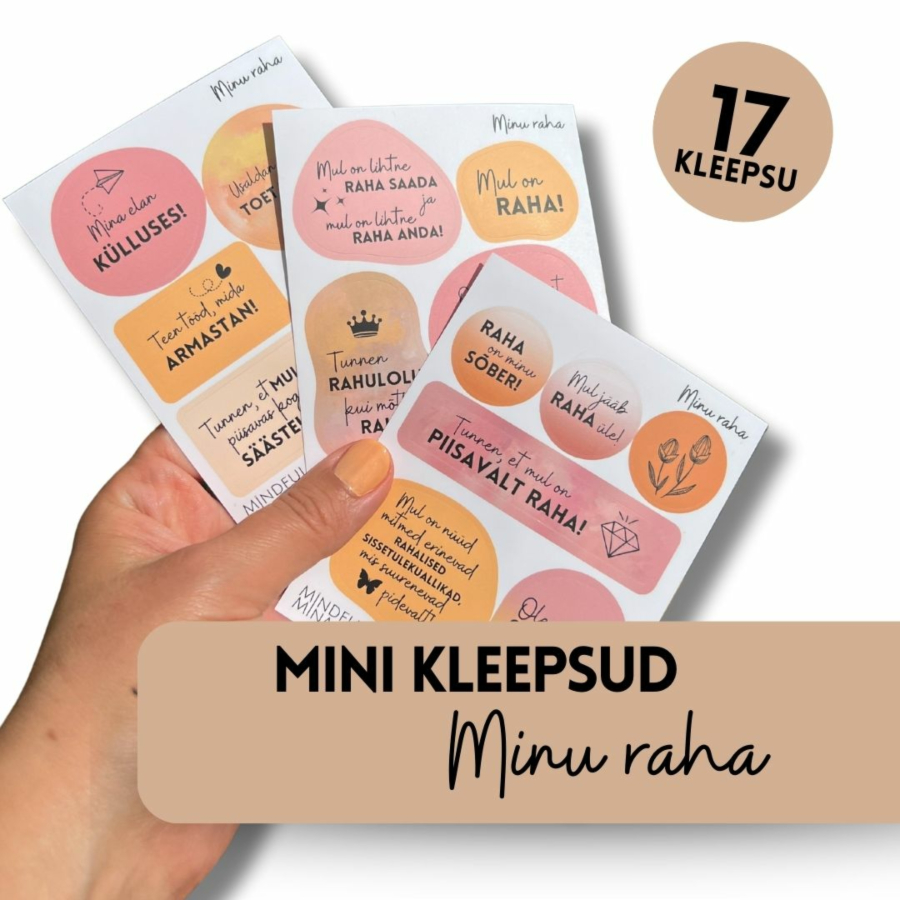 MINI komplekt: märkmiku kleepsud "MINU RAHA"